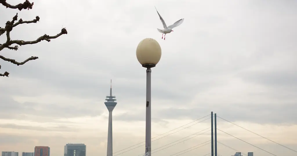 Dating Seiten Düsseldorf: der Rheinturm und die Rheinkniebrücke unter Wolken